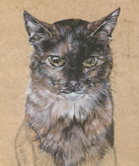 Click to view larger version