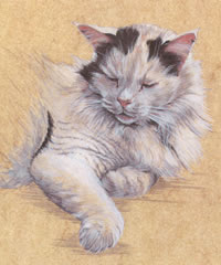 Click to view larger version