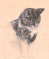 Click to view larger version