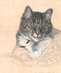 Click to view larger version