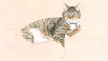 Click to view larger version