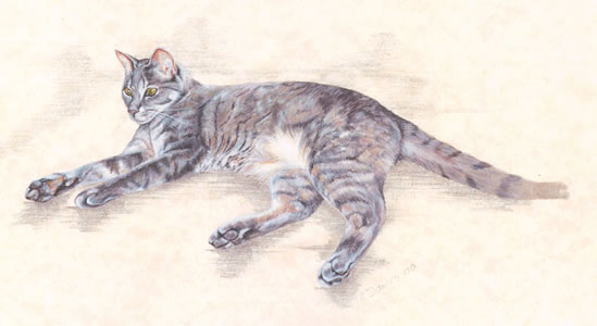 Click to view larger version