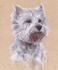 Click to view larger version