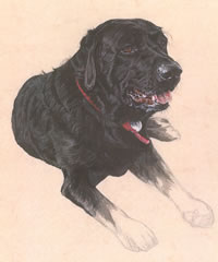 Click to view larger version