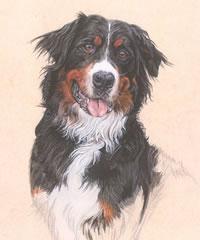 Click to view larger version