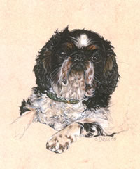 Click to view larger version