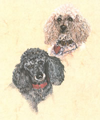 Click to view larger version