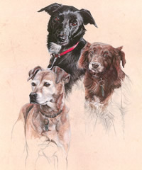 Click to view larger version