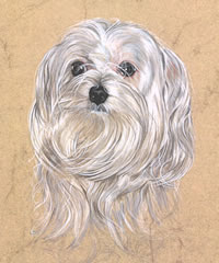 Click to view larger version