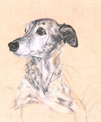 Click to view larger version