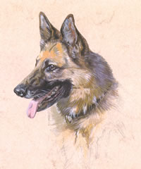 Click to view larger version