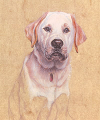 Click to view larger version