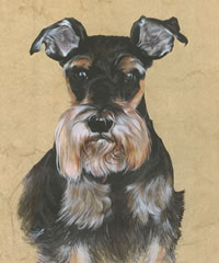 Click to view larger version