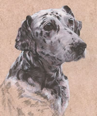 Click to view larger version