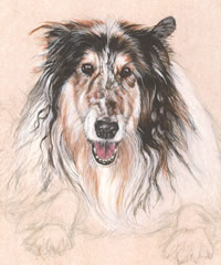 Click to view larger version