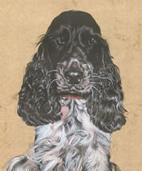 Click to view larger version