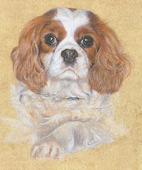 Click to view larger version