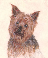 Click to view larger version