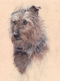 Click to view larger version