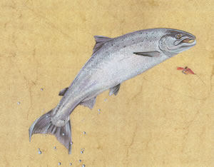 Click to view larger version