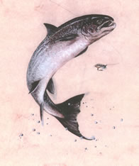 Click to view larger version