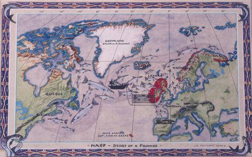 Click to view larger version