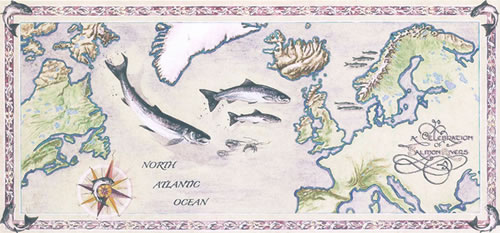 Click to view larger version