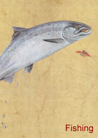 Fishing